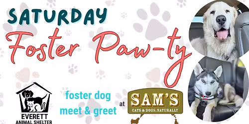 Saturday Foster Paw-ty
