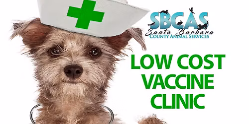 Low-Cost Pet Vaccine Clinic