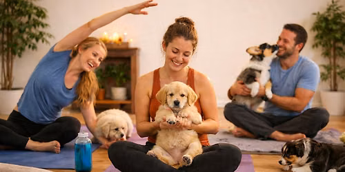Puppy Yoga at Rebarkable Retreat | A Joy Filled Yoga Experience