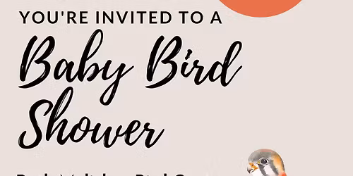 Baby Bird Shower