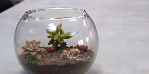 Sip and Plant: Spooky Terrariums at the Botanical Gardens