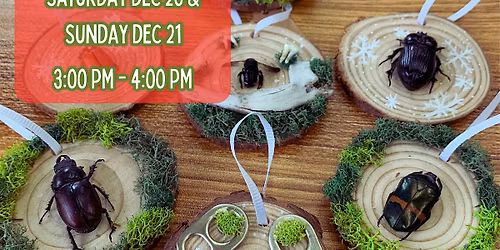 Bug Ornament Making Workshop - December 2025