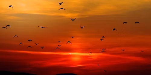 Lighten, Embody Freedom