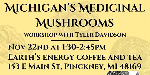 Michigan's Medicinal Mushrooms: Therapeutic Use & Foraging