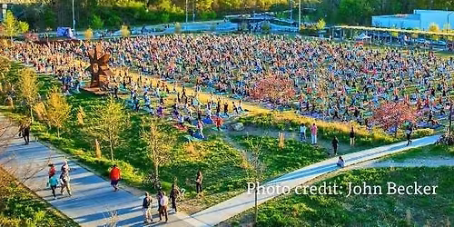 Tree Tour: Health, Wealth, and History on the Atlanta Beltline Arboretum Eastside Trail