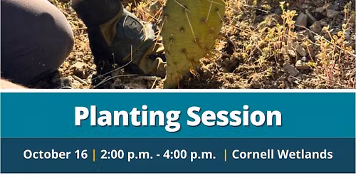 Cornell Planting Session (Day Shift) 