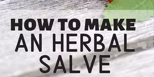 Herbal Salve Workshop