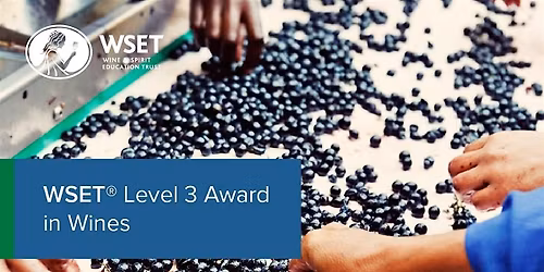 WSET Level 3 Wine Course Singapore