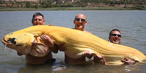 Third Thursday - Big Stories