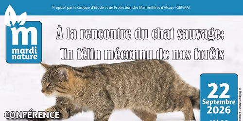 Conf\u00e9rence Mardi Nature : A la rencontre du chat sauvage