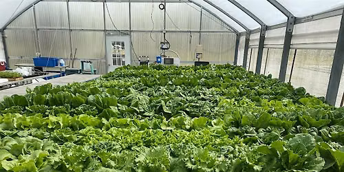 Basic Hydroponic Gardening 101