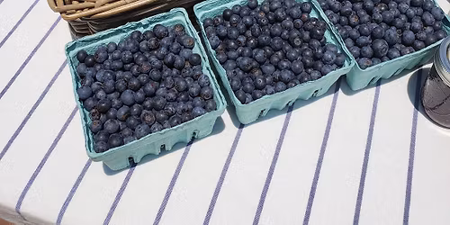 Berries & Blooms Festival