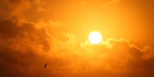 Summer Solstice Rite