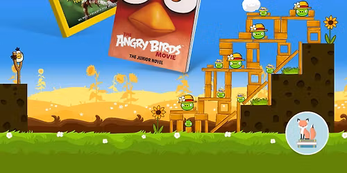 Angry Bird Book Day 
