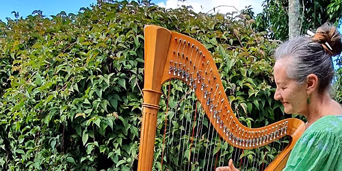 Carols in the Aisles - Harp Music at Tauranga Library