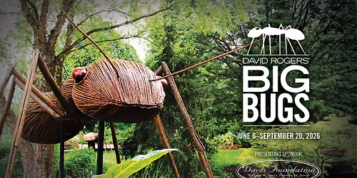 David Rogers : Big Bugs