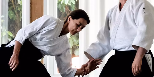Aikido semin\u00e1\u0159: Jan Nevelius (7. dan)