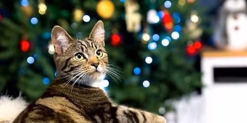 Highbury Hall Christmas Craft Fair 