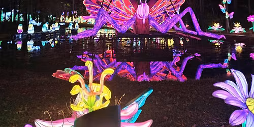 Chinese Lanterns 