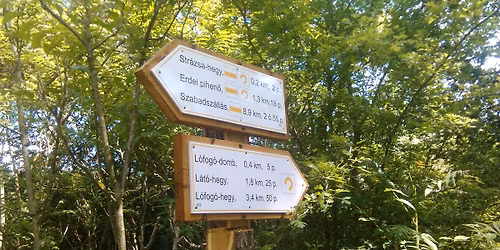 XIII. Str\u00e1zsa Honv\u00e9d Teljes\u00edtm\u00e9nyt\u00fara