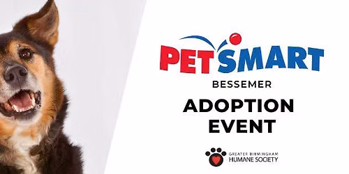 Adoption Event at PetSmart in Bessemer