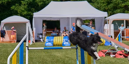 Monitorat Agility MAG1-Type 2