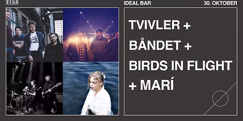 Tvivler + B\u00e5ndet + Birds in Flight + Mar\u00ed - VEGA