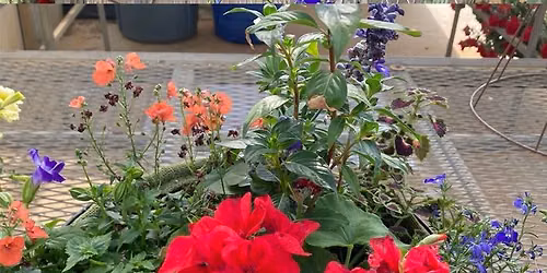 Teacup Planter Class