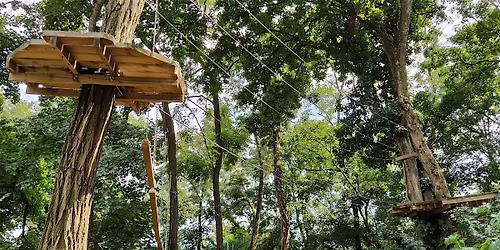 Go Ape Treetop Challenge (from Cambridge)