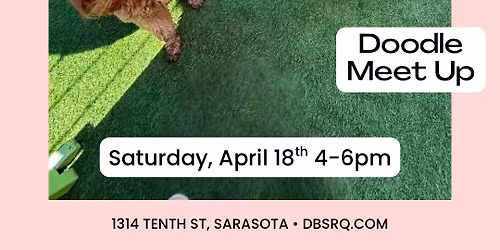 Doodle Meet Up at Dog Bar Sarasota 
