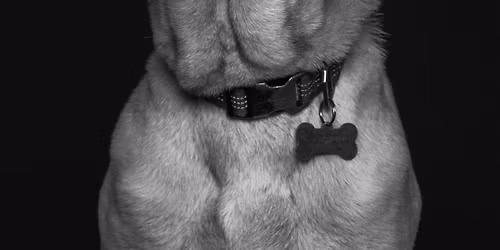 Heirloom Black and White Mini Studio Sessions