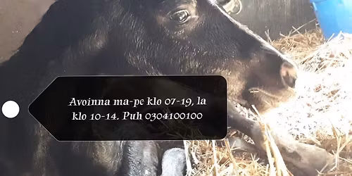 Potilastapausilta Paippisissa -kaularanka