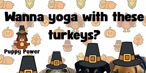 Puppy Power Puppy Yoga- Turkey Tadasana