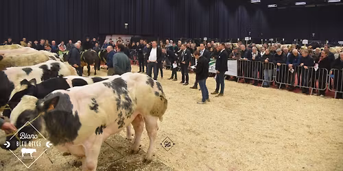 Concours interprovincial BBB 2026