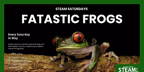 STEAM Saturdays | Fantastic Frogs