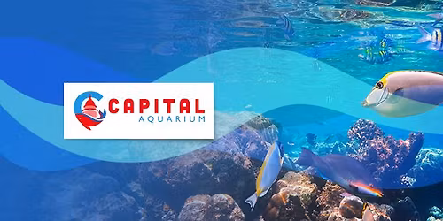 Capital Aquarium Grand Opening!