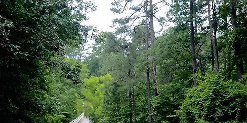 Cape Fear River Run 10k and Half Marathon