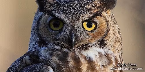Owl Prowl: Citizen Science: Adult Program, $4 per adult upon arrival
