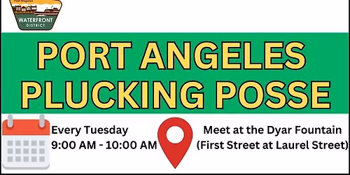 Weekly Plucking Posse