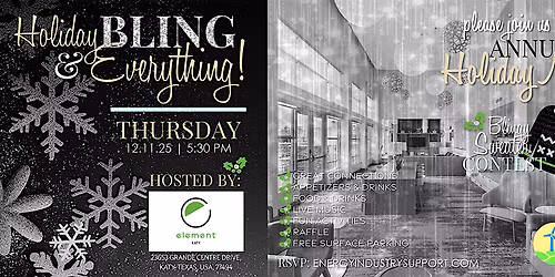 EiSi Holiday Bling & Everything Annual Mixer