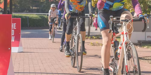 LLS Velo Palmetto