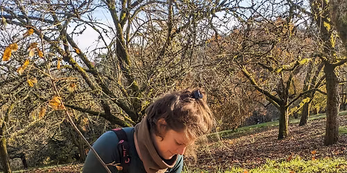 More Trees Please: Increase Canopy in Your Yard