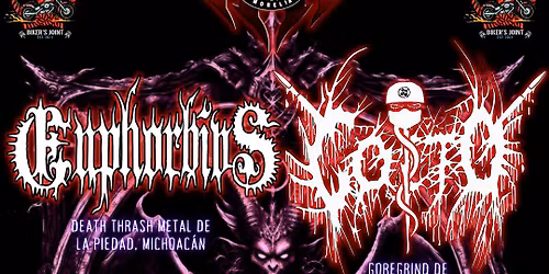 celebraci\u00f3n profana