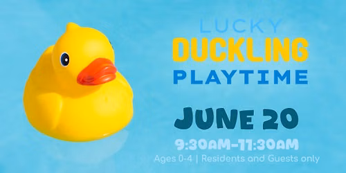 Lucky Duckling Playtime