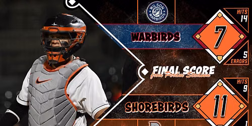 Wilson Warbirds vs. Delmarva Shorebirds