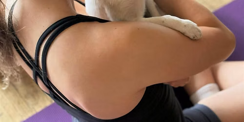 Puppy Yoga Series at Twisted Cow Distillery