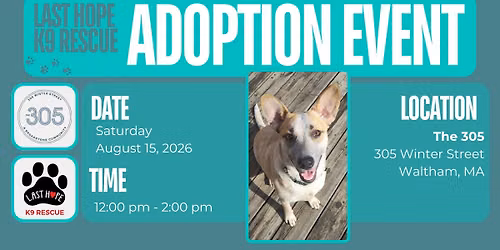 The 305 to host the August Adoption Event!