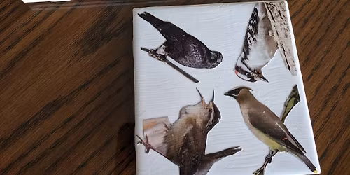 Serving Up Knowledge: Holiday Gift Ideas for Nature Lovers