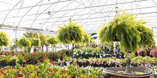 Cordrey Charities Tropical Fundraiser 