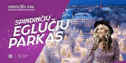 Šventinė iniciatyva „Spindinčių eglučių parkas“